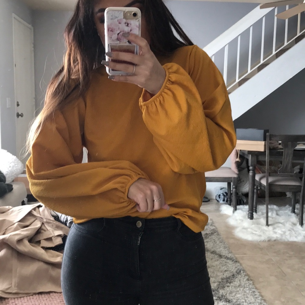 Zara balloon sleeve top